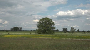 Wahrheitswandern in Brandenburg