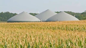 Deutschland „vermaist“