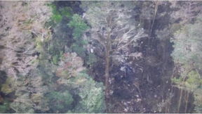 Keine Überlebenden nach Flugzeugabsturz