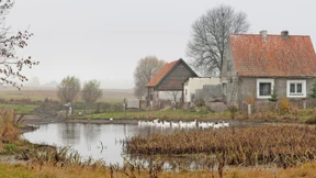 Im Land der dunklen Wälder und kristallenen Seen