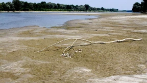 Was kommt nach der großen Dürre?