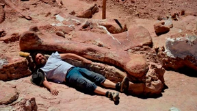 Forscher entdecken größten Dinosaurier aller Zeiten