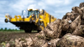 Südzucker-Chef erwartet höhere Zuckerpreise