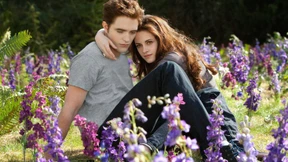 „Twilight“-Film bricht Einspiel-Rekord