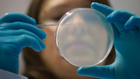 Tausende in China mit aus Labor entwichenem Bakterium infiziert