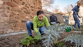Beim Stadtbummel Beeren pflücken