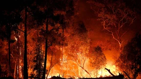 Buschfeuer in Australien wüten weiter