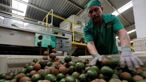 Ist das noch ein „Freihandelspakt“?