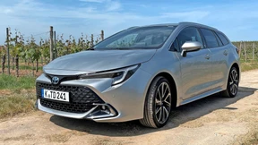 Die Souveränität grauer Koteletten