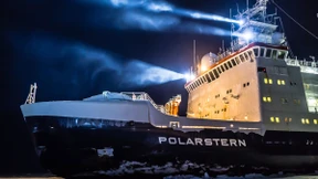 Deutsche Forscher entdecken weltgrößtes Fischbrutgebiet