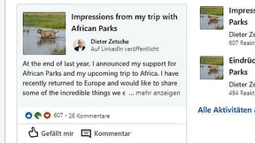 Zetsche postet Löwenfotos auf Linkedin