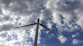 Was den Grünen nicht passt