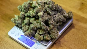 Was Staatsanwälte und Richter zur Cannabis-Amnestie sagen