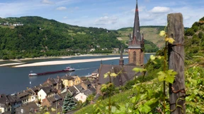 Wieder Tankschiff nahe Lorchhausen auf Grund