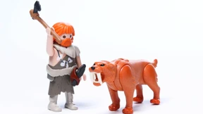 Fleisch für viele Wochen