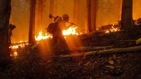 Waldbrände werden zum Wahlkampfthema