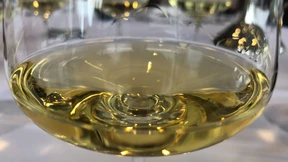 Wiederauferstehung im Weinberg