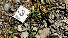 War der Radfahrer das erste Opfer?