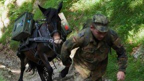 Das Muli ist der beste Kamerad