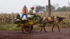 Sind Industriebetriebe die falsche Landwirtschaft?