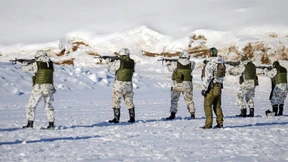 Wie Schweden und Finnland die NATO verändern würden