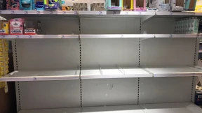 Auf der Suche nach Klopapier