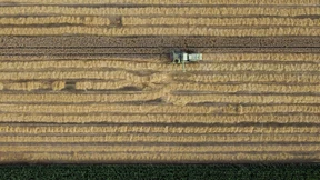 Forderungen nach einer Umkehr in der Agrarpolitik