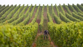 Von Franken und Burgundern