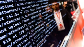 Eine wachsende Popularität