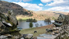 Ganz oben auf der Liste