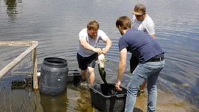 Geliebtes Gewässer in Not