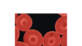 Frühe Warnzeichen im Blut