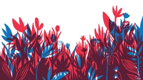 Als Napoleon zwar nicht hin, aber weg war