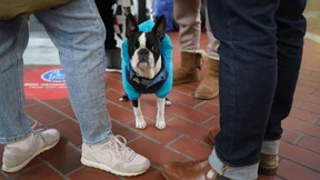 Städte informieren Flüchtlinge