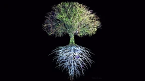 Von der Romantik in die Zukunft