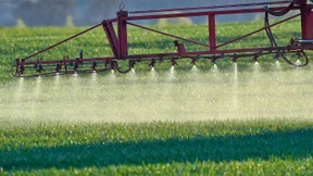 EU-Staaten stimmen über Glyphosat ab