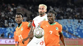 Vorsicht vor den „Elefanten“ von der Elfenbeinküste