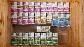 Die Schweizer denken über Kapitalverkehrskontrollen nach