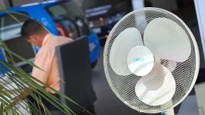 In Badehose und Bikini zur Arbeit