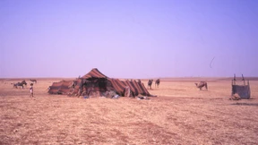 Meine Geschichten lieben mich