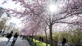 Nachtfrost und Neuschnee an den Alpen