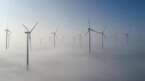 So steigert der Greta-Effekt die Ökostrom-Nachfrage