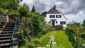 Blühen und Duften war erste Pflanzenpflicht