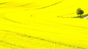 Willkommen im  geschlossenen System