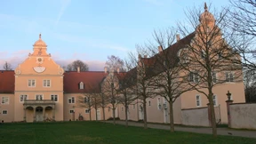 Vom Jagdwald zum Urwald