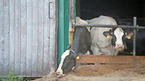 Der Frust der Bauern wächst