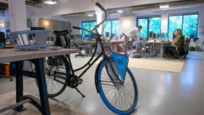 Lieber ins Start-up oder in den Konzern?