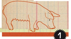 Schweizer Rennsauen  im Rampenlicht