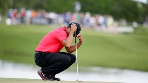 Woods und der Eisenhower-Baum