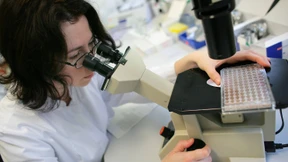 Der kleine Unterschied wird kleiner